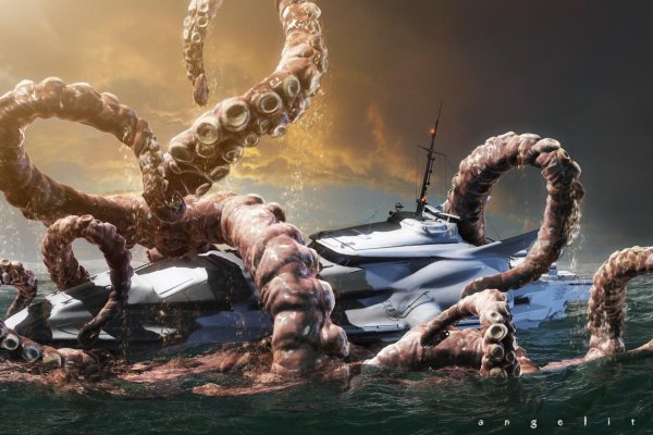 Kraken official